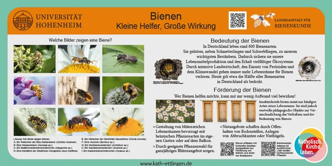 Quelle: Siehe Banner